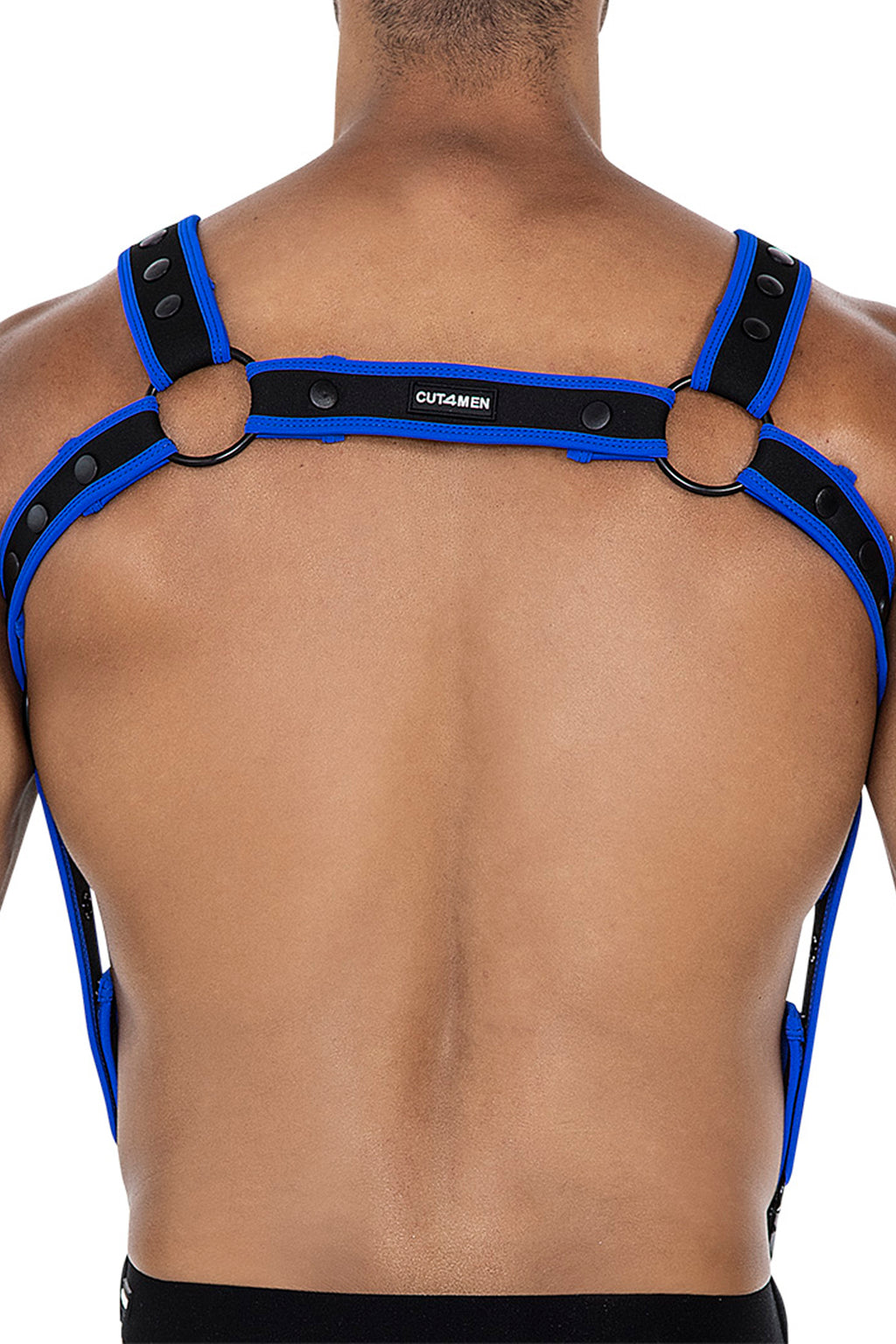 schwarz/neoblauer Brust-Harness 05 - OS-3