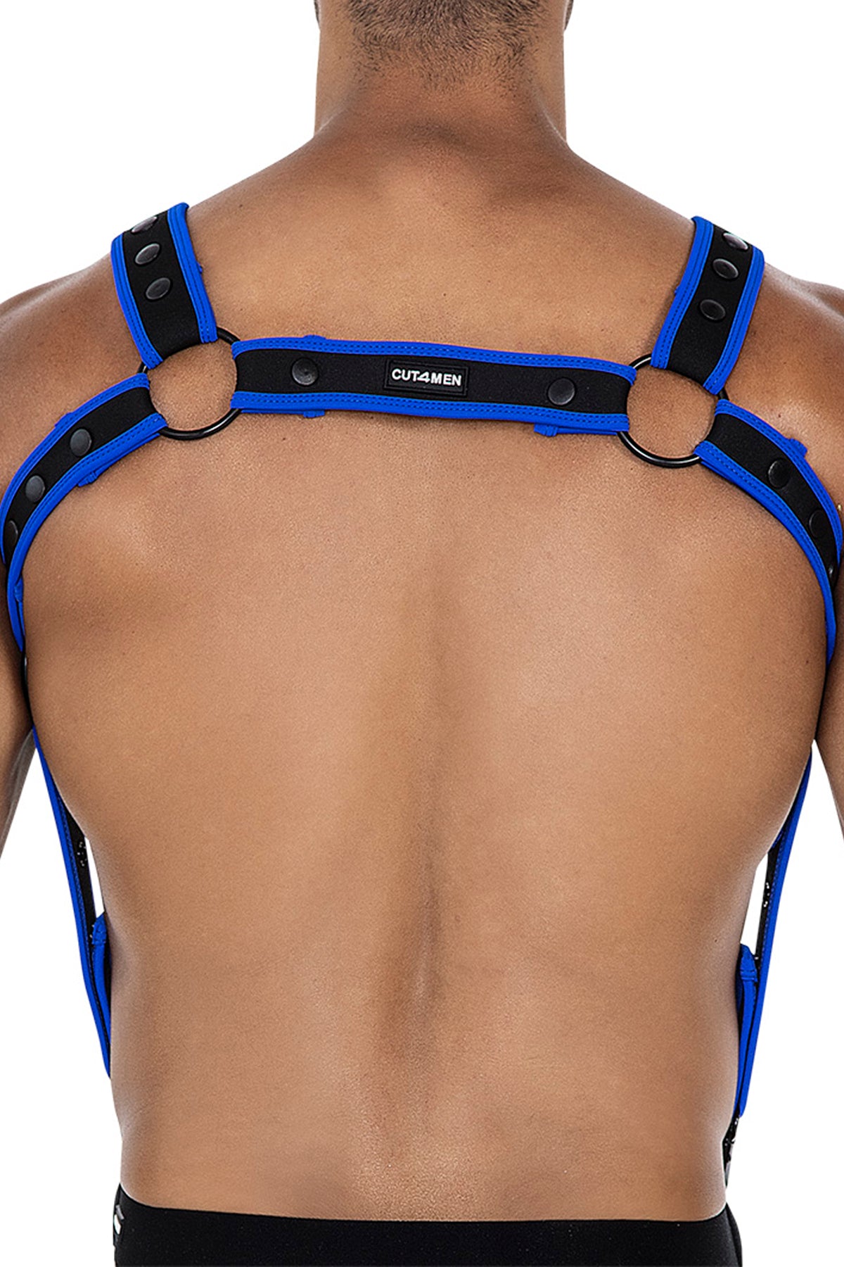 schwarz/neoblauer Brust-Harness 05 - OS-3